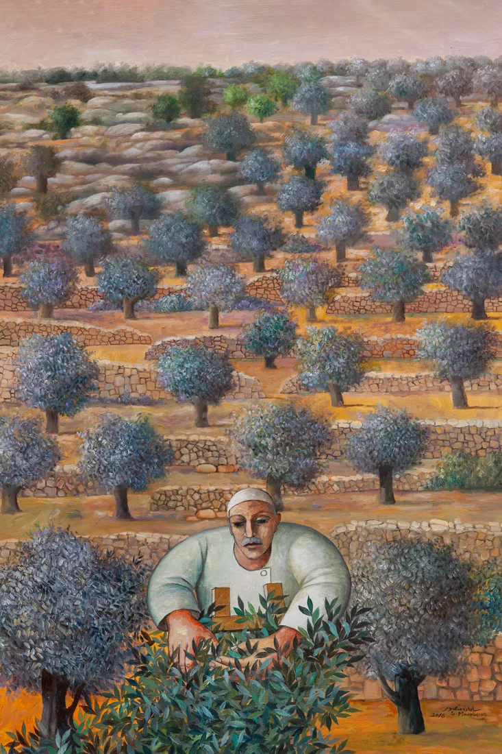 Olive harvest, 2016 - Image 2