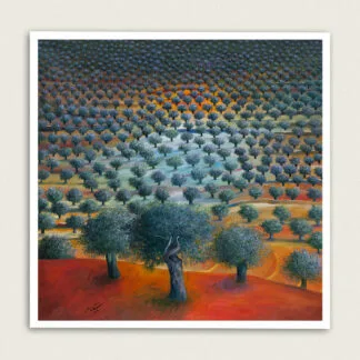 Olive grove, 2012