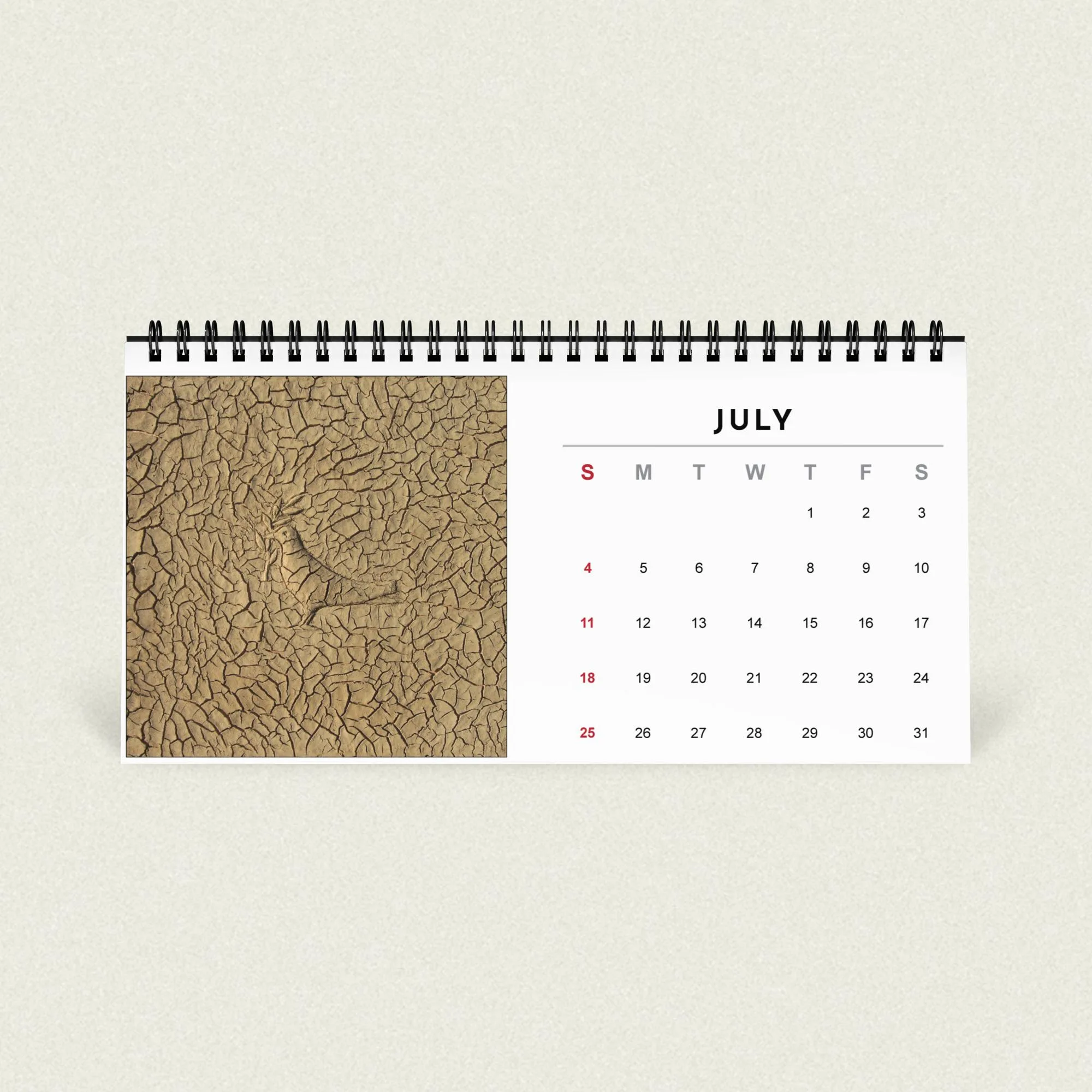 Sliman Mansour desk calendar 2027 - Image 6
